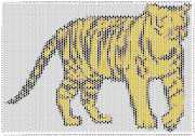 pattern Animals Countries China