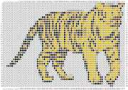 pattern Animals Countries China