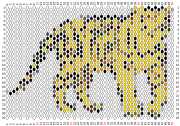 pattern Animals Countries China