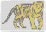pattern Animals Countries China