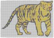pattern Animals Countries China