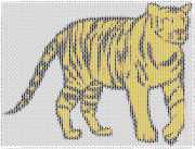 pattern Animals Countries China