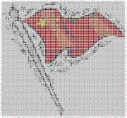 pattern Countries Flags China