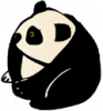 Animais Pandas imagem