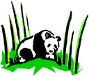 image Countries China Animals Pandas