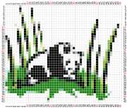 pattern Countries China Animals Pandas
