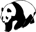 image Countries China Animals Pandas