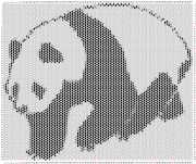 pattern Countries China Animals Pandas