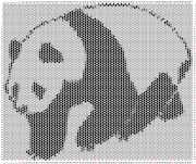 pattern Countries China Animals Pandas