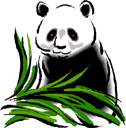 image Countries China Animals Pandas