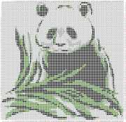 pattern Countries China Animals Pandas