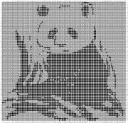 pattern Countries China Animals Pandas