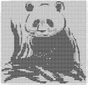 pattern Countries China Animals Pandas