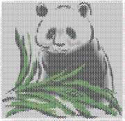 pattern Countries China Animals Pandas