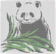 pattern Countries China Animals Pandas