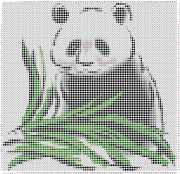 pattern Countries China Animals Pandas