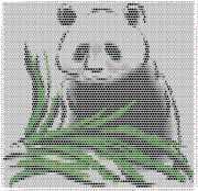 pattern Countries China Animals Pandas