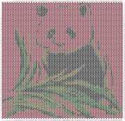 pattern Countries China Animals Pandas